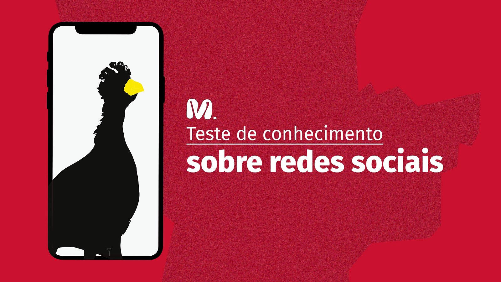redes sociais